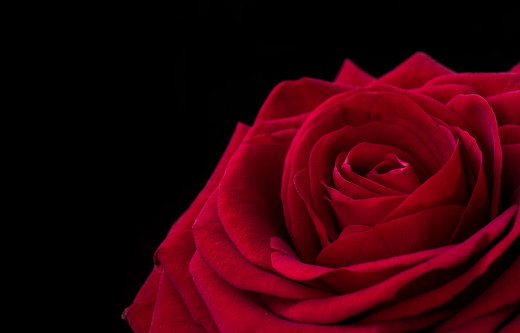 907014 (a): :2800x1790